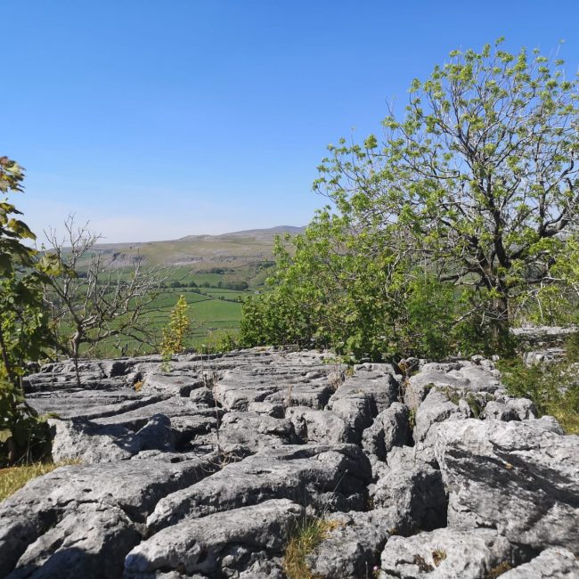 Pathway to wellbeing